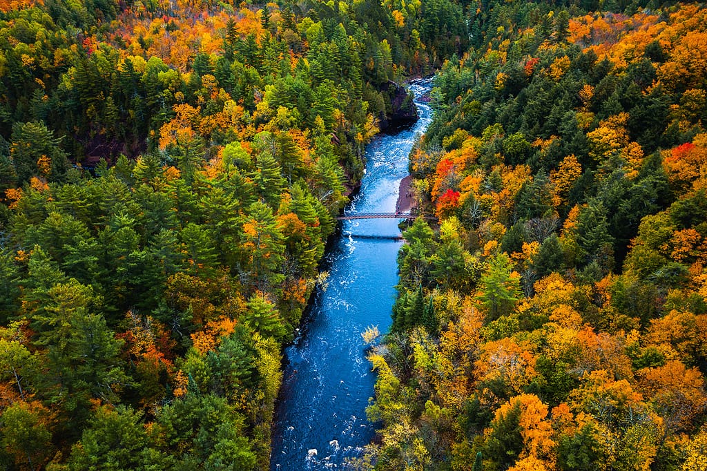 aerial view of bridge