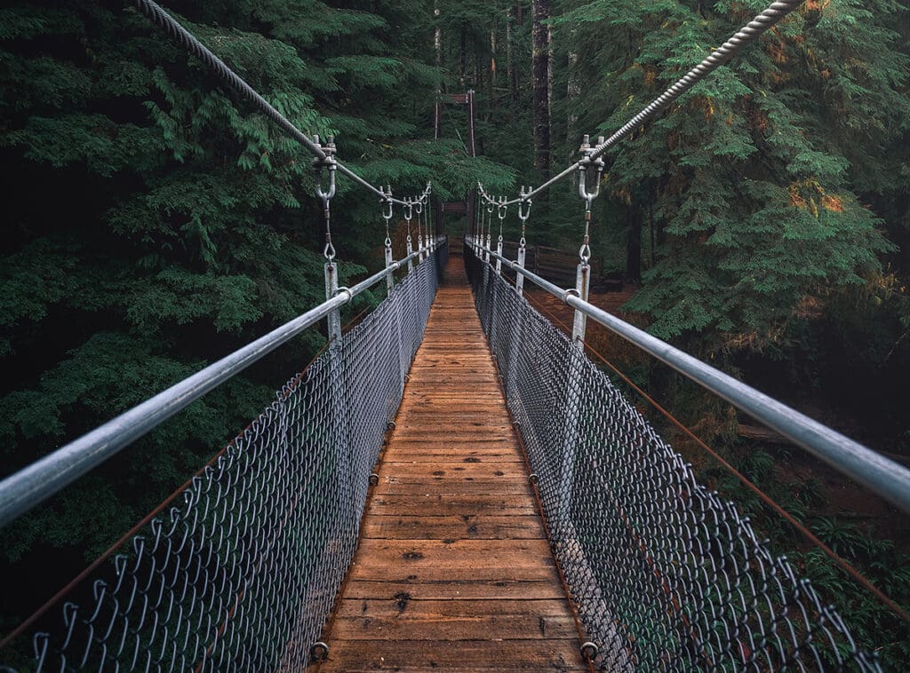 Suspension bridge in woods