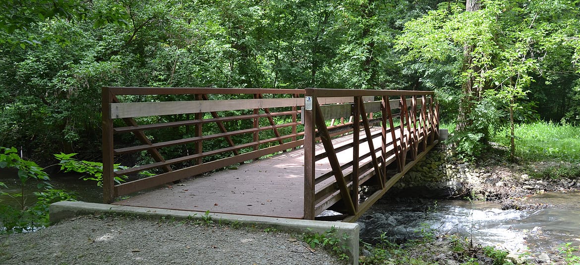 Phillips Park Bridge