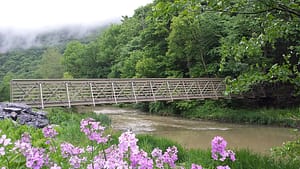 FRP Truss bridge