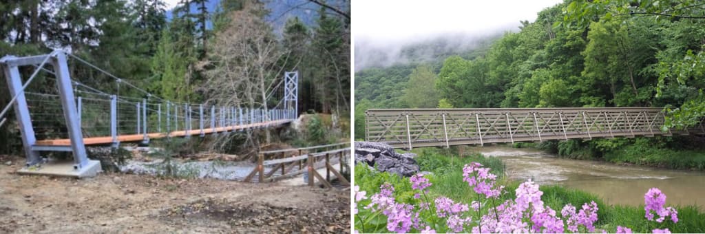 Suspension vs truss bridge